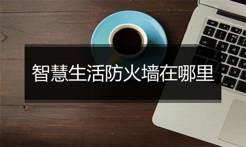 智慧生活防火墙在哪里