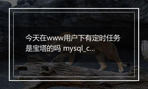 今天在www用户下有定时任务 是宝塔的吗 mysql_check