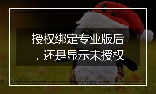 授权绑定专业版后,还是显示未授权