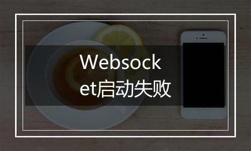Websocket启动失败
