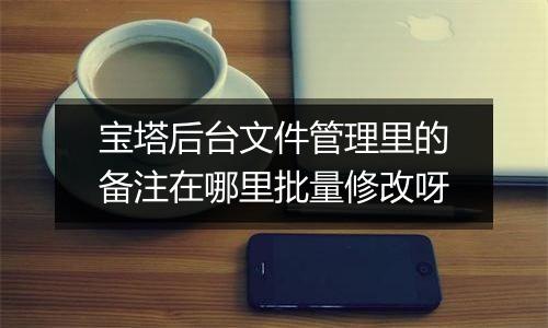 宝塔后台文件管理里的备注在哪里批量修改呀