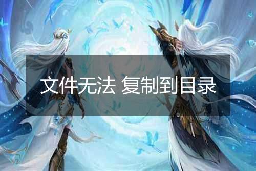 文件无法 复制到目录