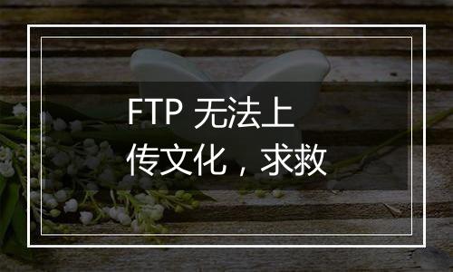 FTP 无法上传文化,求救