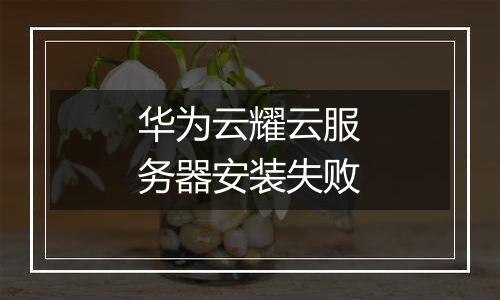 华为云耀云服务器安装失败