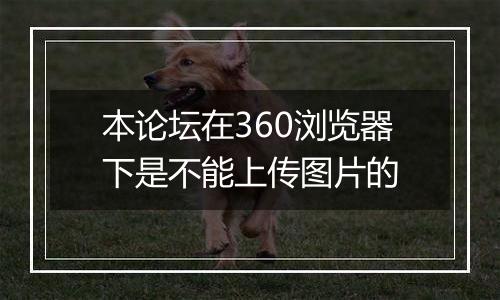 本论坛在360浏览器下是不能上传图片的