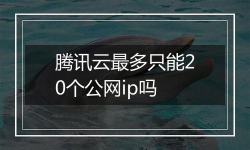 腾讯云最多只能20个公网ip吗