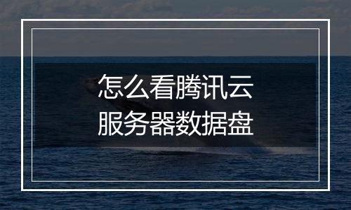 怎么看腾讯云服务器数据盘