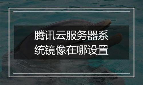 腾讯云服务器系统镜像在哪设置