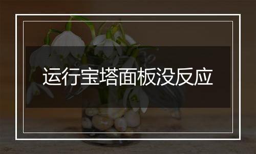 运行宝塔面板没反应