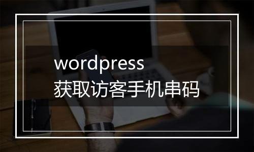 wordpress获取访客手机串码