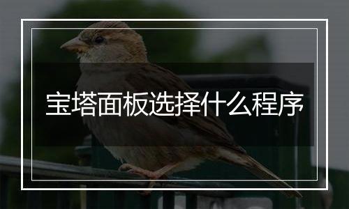 宝塔面板选择什么程序
