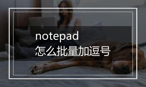 notepad怎么批量加逗号