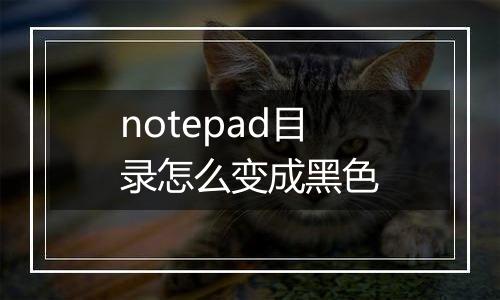 notepad目录怎么变成黑色