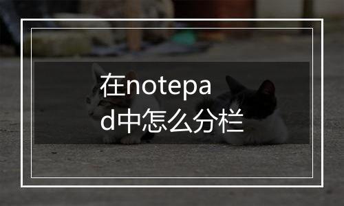 在notepad中怎么分栏
