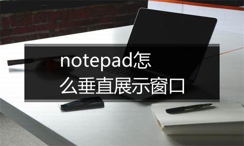 notepad怎么垂直展示窗口