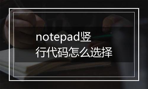 notepad竖行代码怎么选择