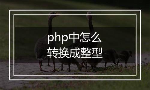 php中怎么转换成整型