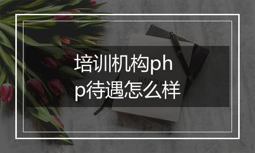 培训机构php待遇怎么样
