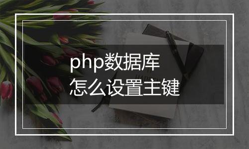 php数据库怎么设置主键