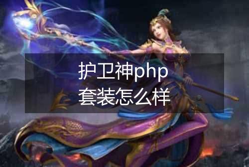 护卫神php套装怎么样