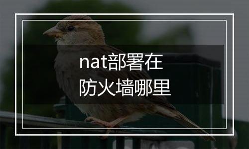 nat部署在防火墙哪里