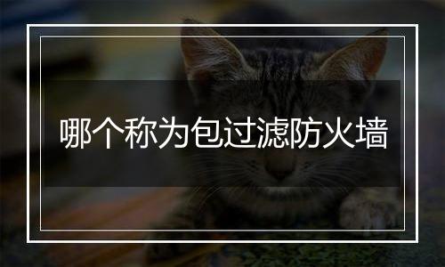 哪个称为包过滤防火墙