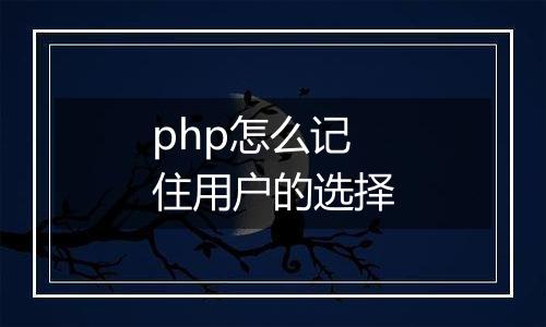 php怎么记住用户的选择