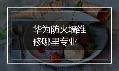 华为防火墙维修哪里专业