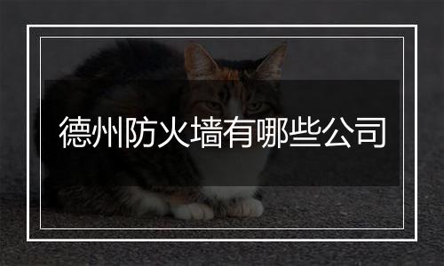 德州防火墙有哪些公司