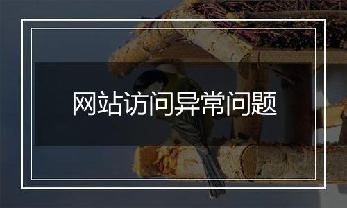 网站访问异常问题