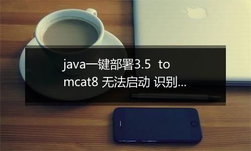 java一键部署3.5  tomcat8 无法启动 识别不了java