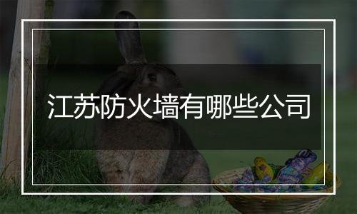 江苏防火墙有哪些公司
