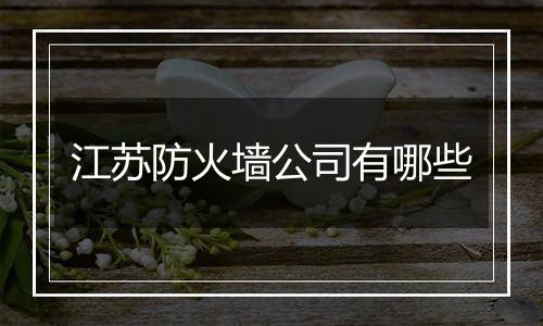 江苏防火墙公司有哪些