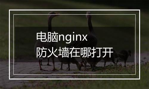 电脑nginx防火墙在哪打开