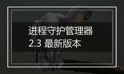 进程守护管理器 2.3 最新版本