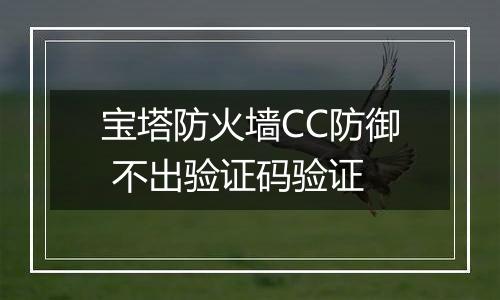 宝塔防火墙CC防御 不出验证码验证