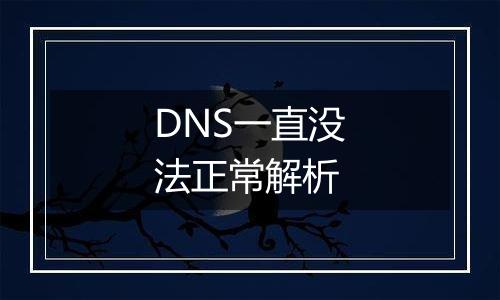 DNS一直没法正常解析