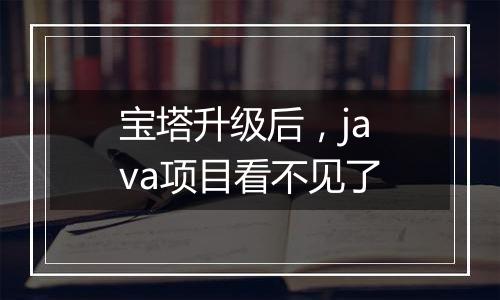 宝塔升级后，java项目看不见了