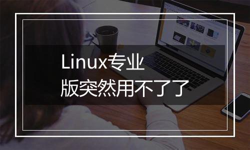 Linux专业版突然用不了了