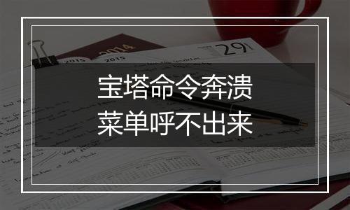 宝塔命令奔溃菜单呼不出来
