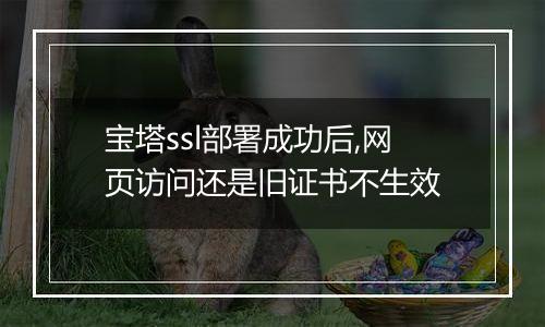 宝塔ssl部署成功后,网页访问还是旧证书不生效