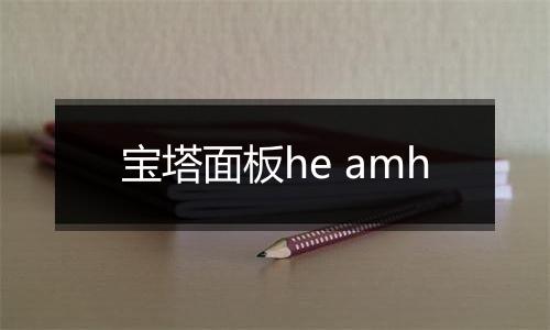 宝塔面板he amh
