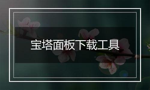 宝塔面板下载工具
