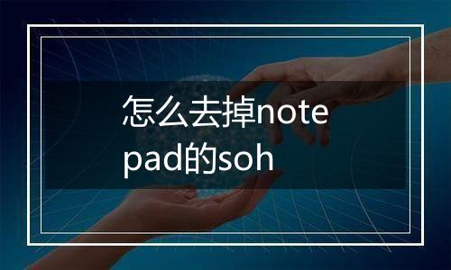 怎么去掉notepad的soh