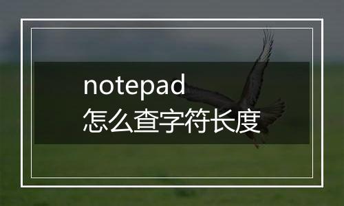 notepad怎么查字符长度