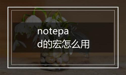 notepad的宏怎么用