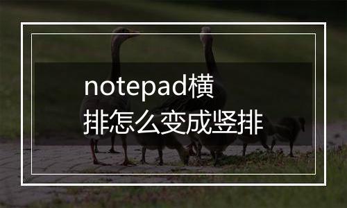 notepad横排怎么变成竖排