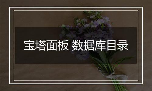 宝塔面板 数据库目录