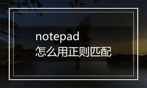 notepad怎么用正则匹配