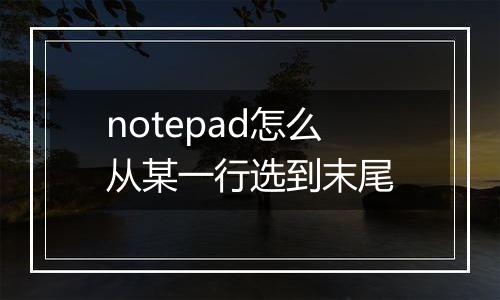 notepad怎么从某一行选到末尾